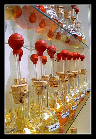 Decanter Decanter